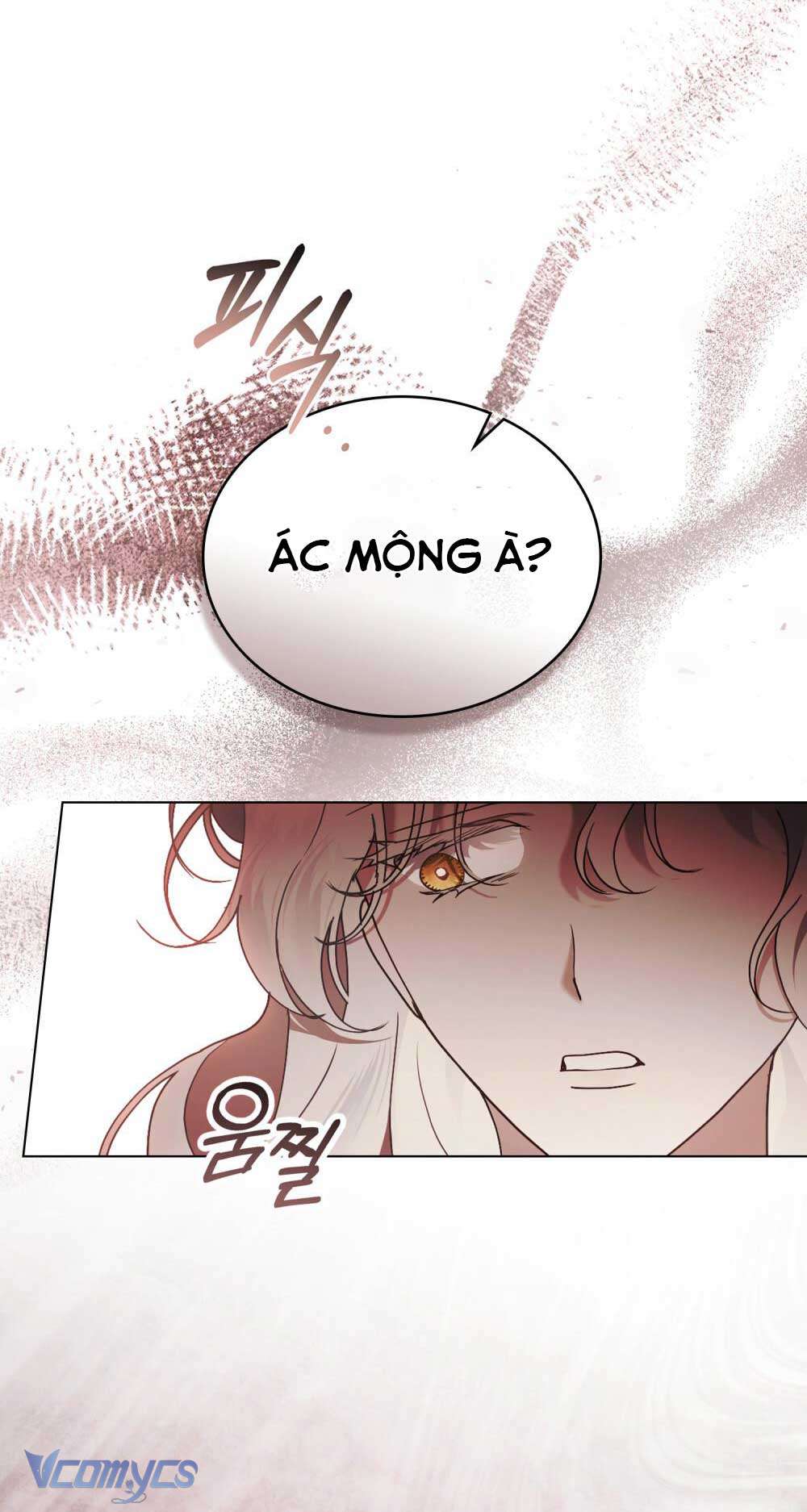 Hôn Nhân Khế Ước Chap 51 - Trang 3
