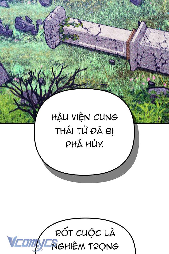 [PNT] Rồng Con Thuần Hóa Những Kẻ Điên Rồ Chap 23 - Trang 2