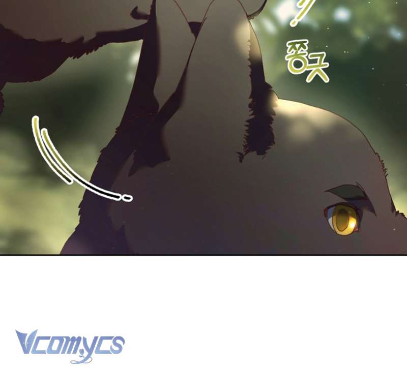 [Sứa Biển] Em Trai Tôi Là Hoàng Đế Ngang Ngược Chap 42 - Trang 2