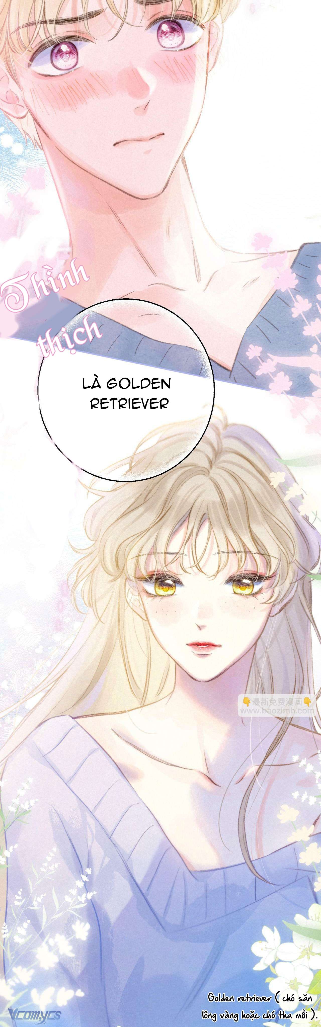 Chiếc Gai Ấm Ám Chap 23 - Trang 2