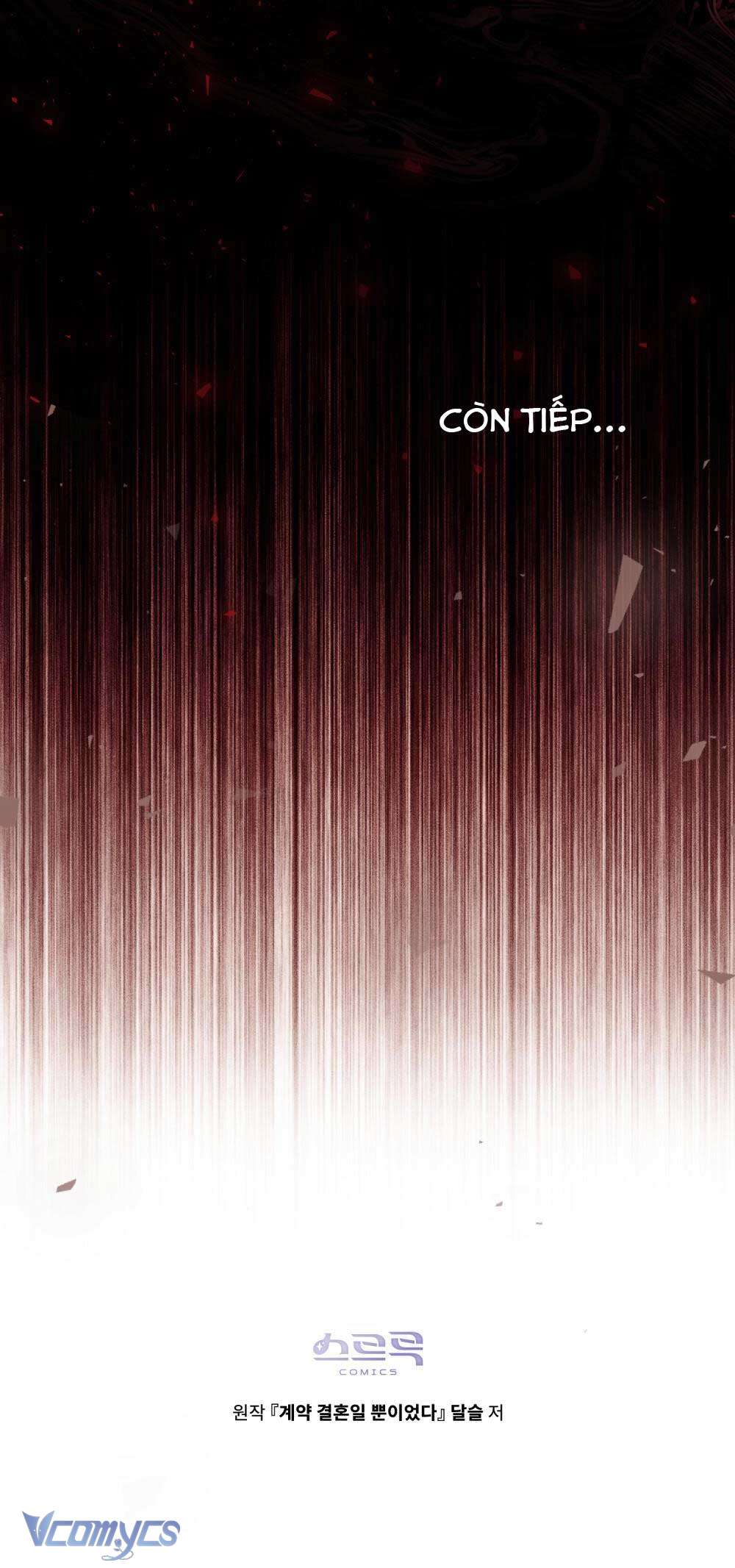 Hôn Nhân Khế Ước Chap 51 - Trang 3