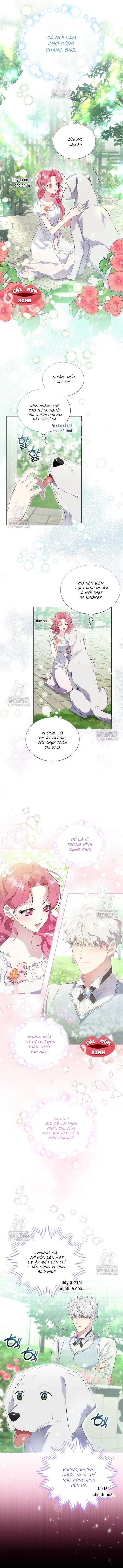Khi Bị Nam Chính Dịu Dàng Nhưng Cố Chấp Ám Ảnh Chap 14 - Next 