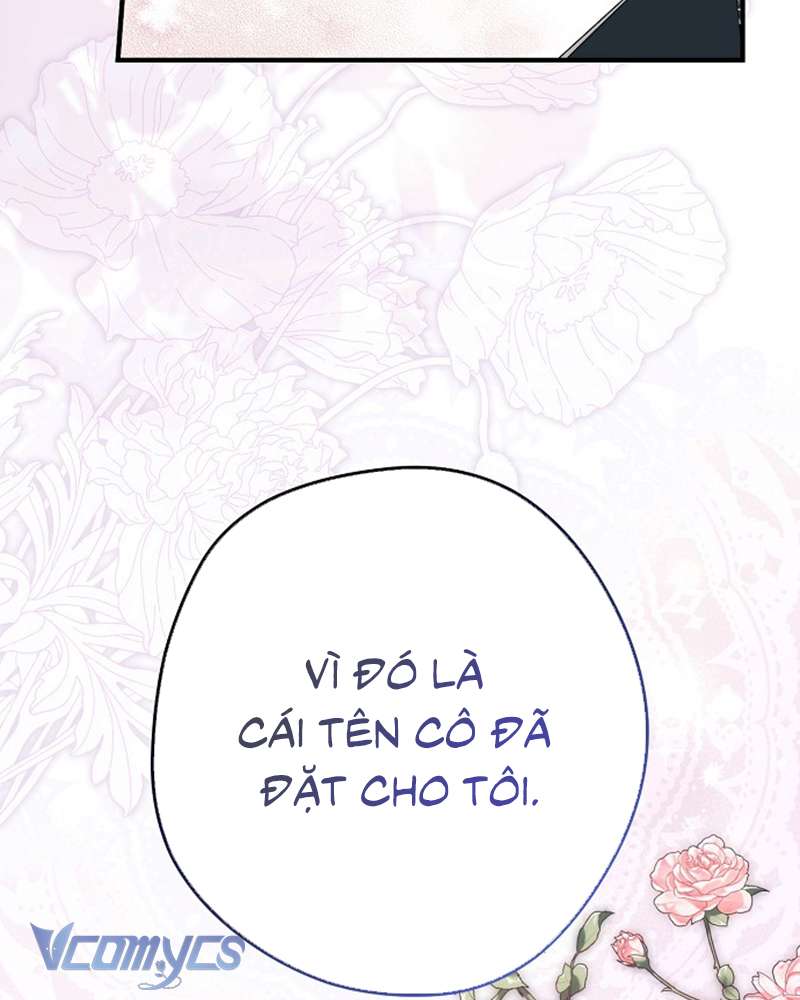 Các Nam Chính Đã Bị Nữ Phụ Cướp Mất Chap 51 - Trang 3
