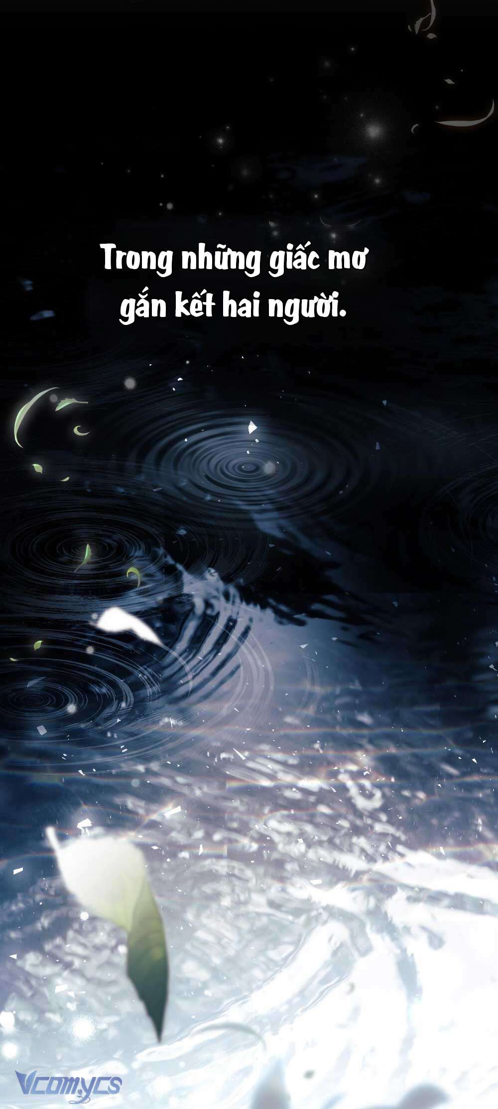 Hôn Nhân Khế Ước Chap 53 - Trang 3