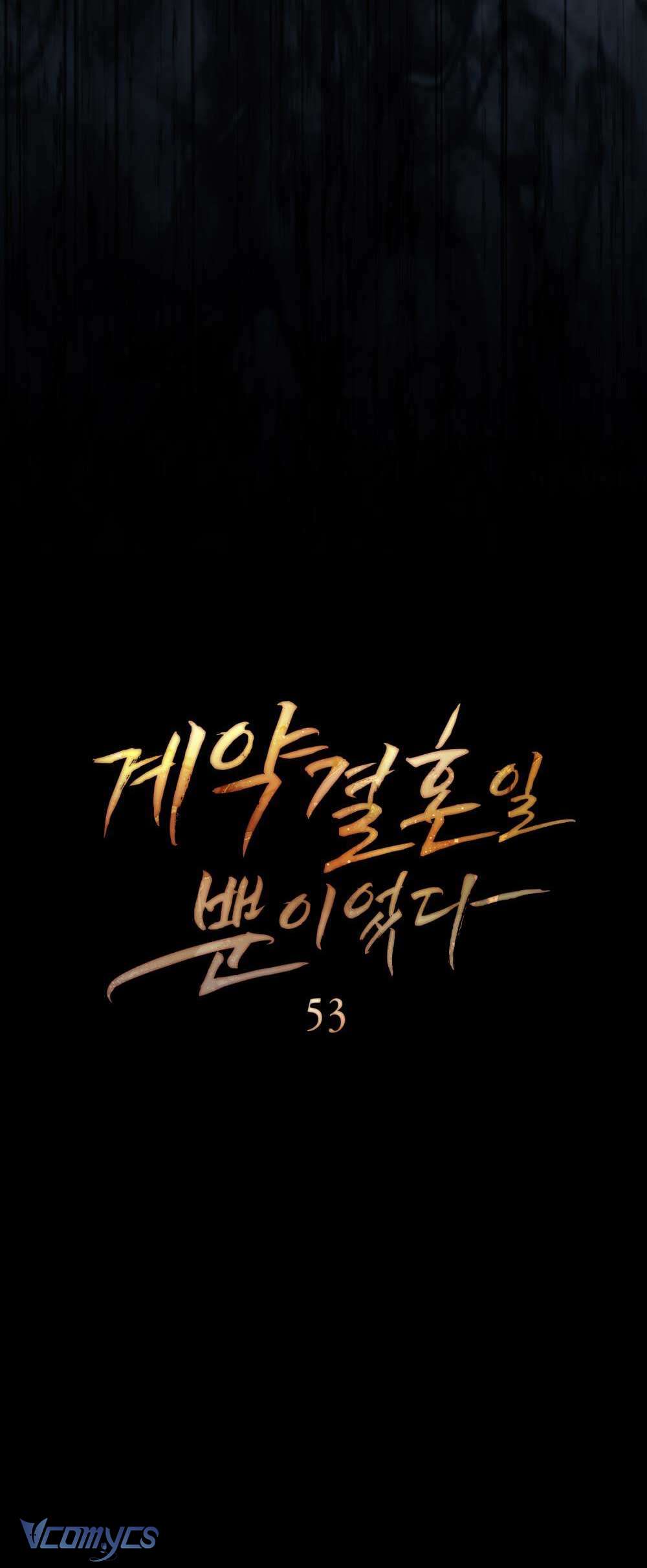Hôn Nhân Khế Ước Chap 53 - Trang 3