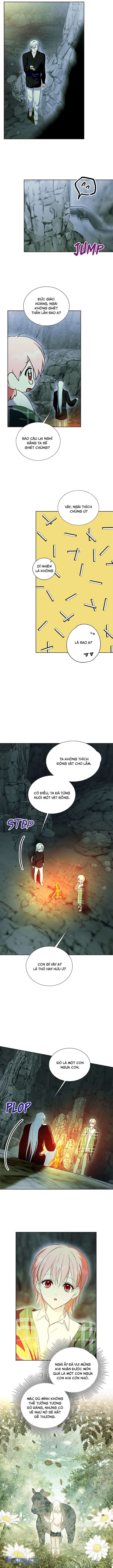 [PNT] Phía Sau Mặt Nạ Của Nam Chính Hiền Lành Chap 48 - Trang 2