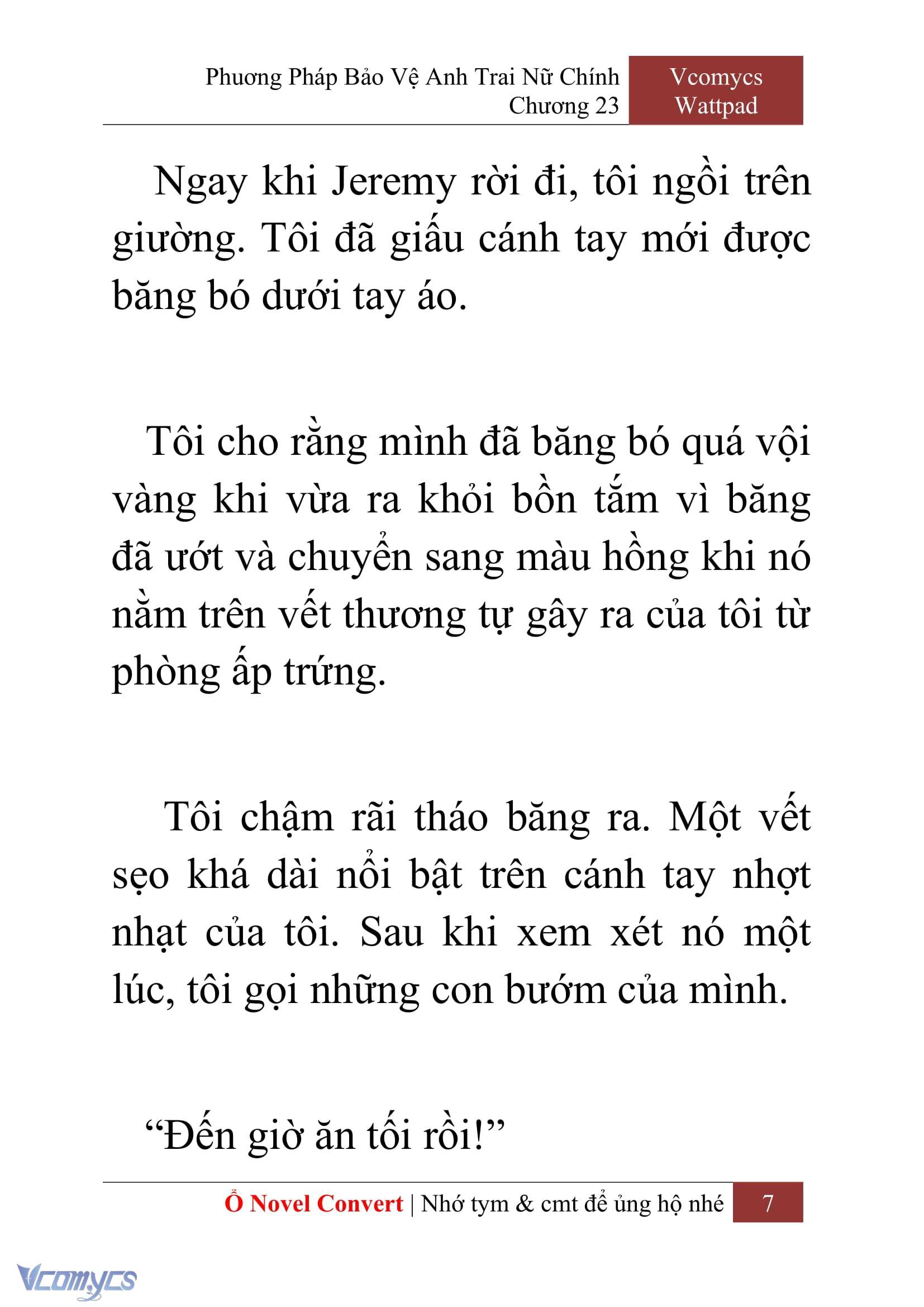 [Novel] Phương Pháp Bảo Vệ Anh Trai Nữ Chính Chap 23 - Trang 2