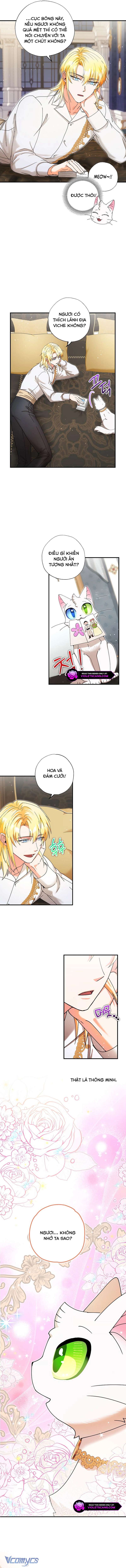 Trở Thành Miêu Nữ Của Hoàng Đế Chap 32 - Trang 4