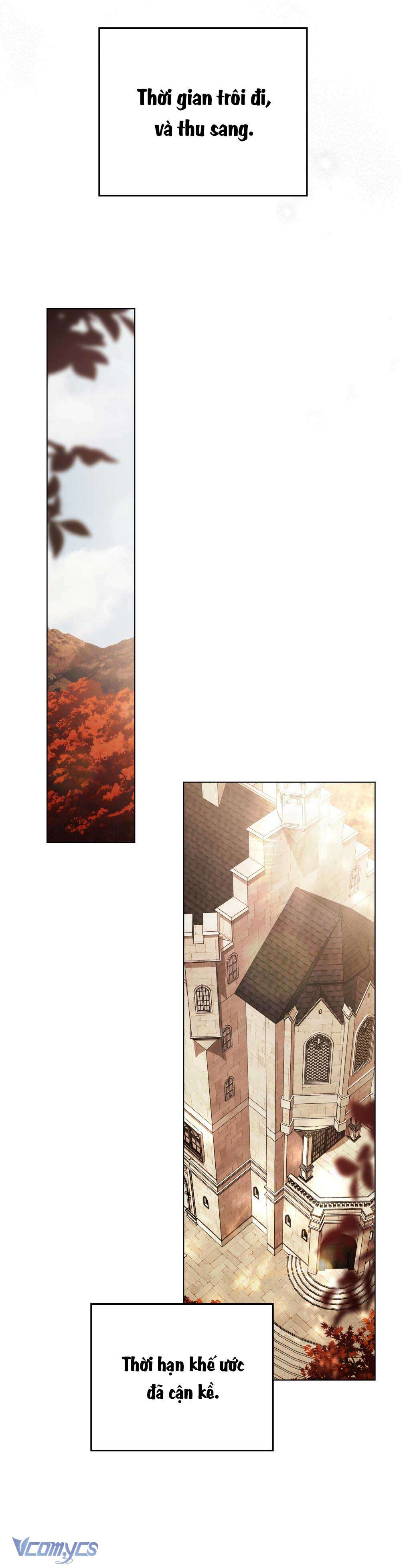 Hôn Nhân Khế Ước Chap 53 - Trang 3