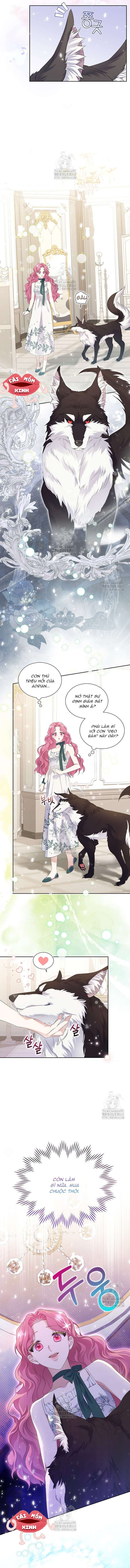 Khi Bị Nam Chính Dịu Dàng Nhưng Cố Chấp Ám Ảnh Chap 3 - Trang 3