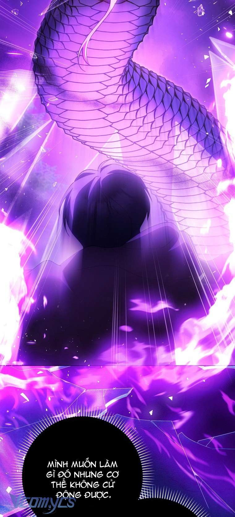 Công Chúa Bạch Hổ Không Có Nguy Hiểm Nha! Chap 4 - Trang 2