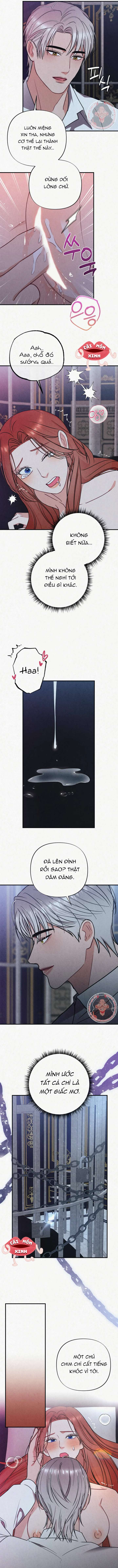 Tù Binh Trong Mơ Tù Binh Trong Mơ-Chap 15 - Trang 2