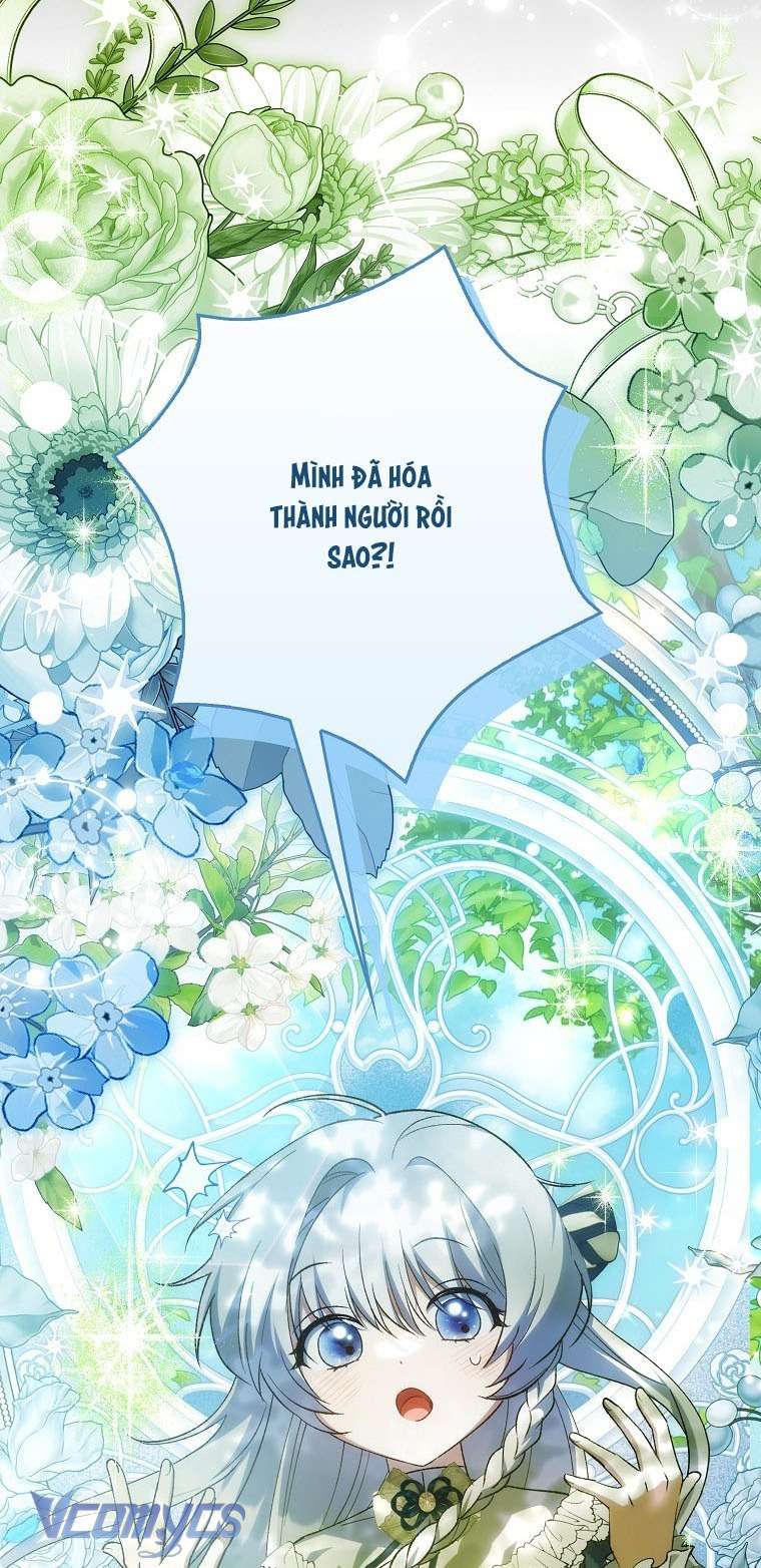 Công Chúa Bạch Hổ Không Có Nguy Hiểm Nha! Chap 2 - Trang 2