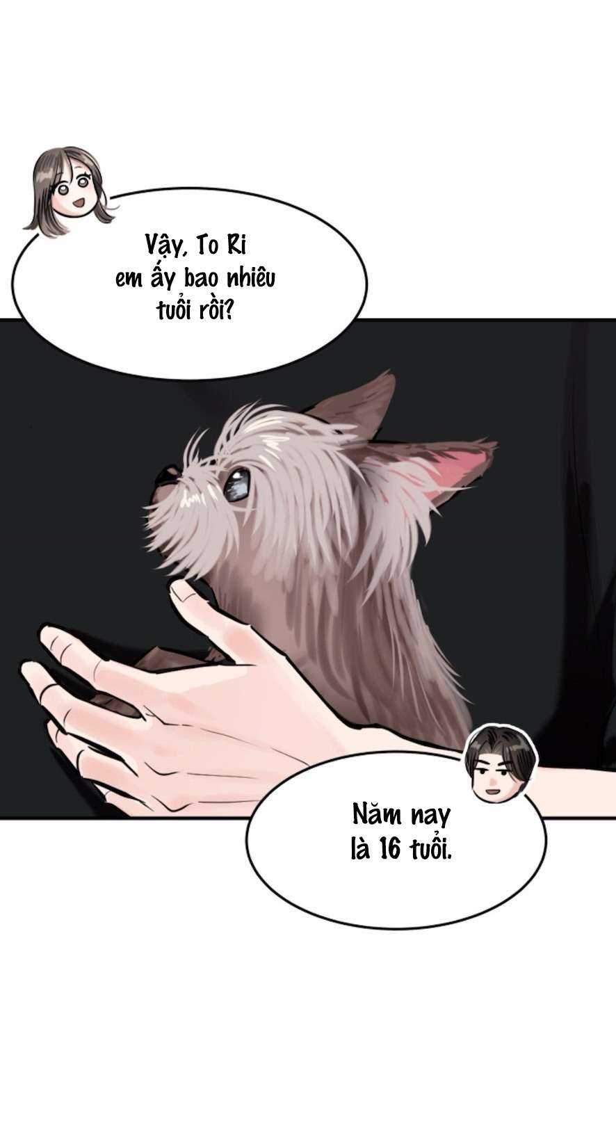 Sở Thích Bị Cai Trị Chap 16 - Trang 2