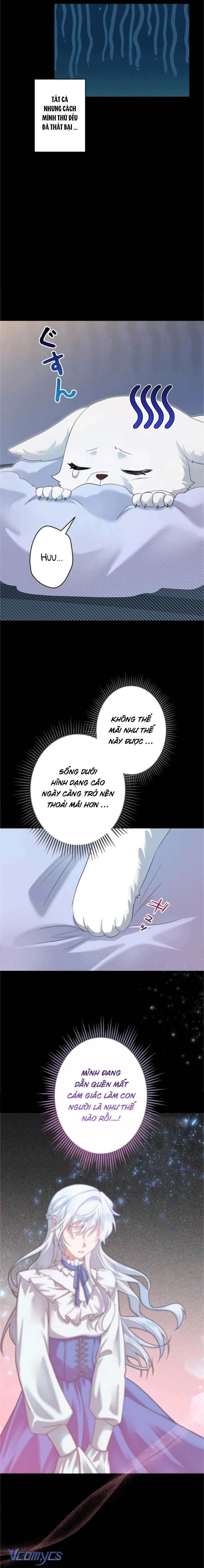 Hôn Phu Được Định Sẵn Lại Chính Là Kẻ Bắc Cóc Chap 7 - Next Chap 8