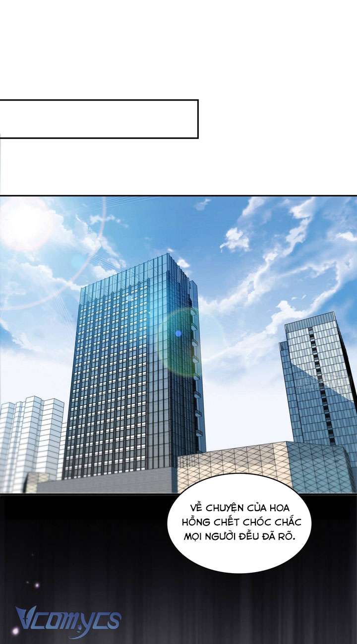 Hệt Như Hàn Quang Gặp Nắng Gắt Chapter 562 - Next Chapter 563