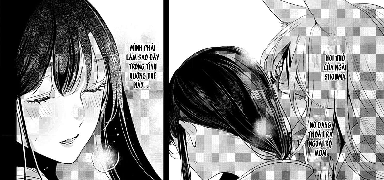 Cuộc Hôn Nhân Của Công Chúa Mặt Trăng Giả Dối: Cho Đến Khi Bị Bỏ Rơi Và Được Thần Sói Sủng Ái Chap 1 - Trang 2