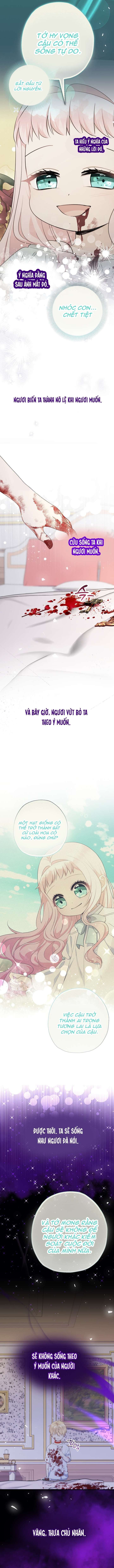 [PNT] Tiểu Thư Tích Tiền Đi Bụi Chap 67 - Trang 2