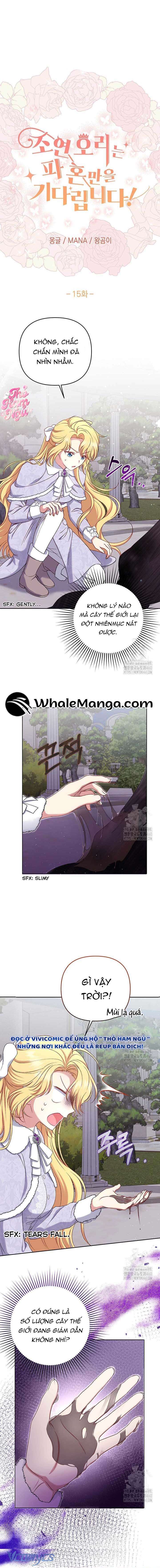 Nàng Vịt Chờ Ngày Hủy Hôn Chap 15 - Trang 2