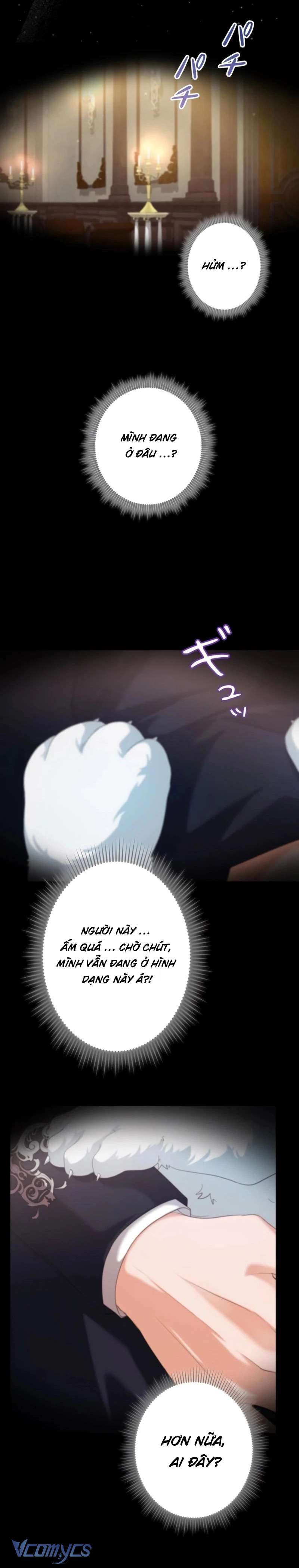 Hôn Phu Được Định Sẵn Lại Chính Là Kẻ Bắc Cóc Chap 7 - Next Chap 8