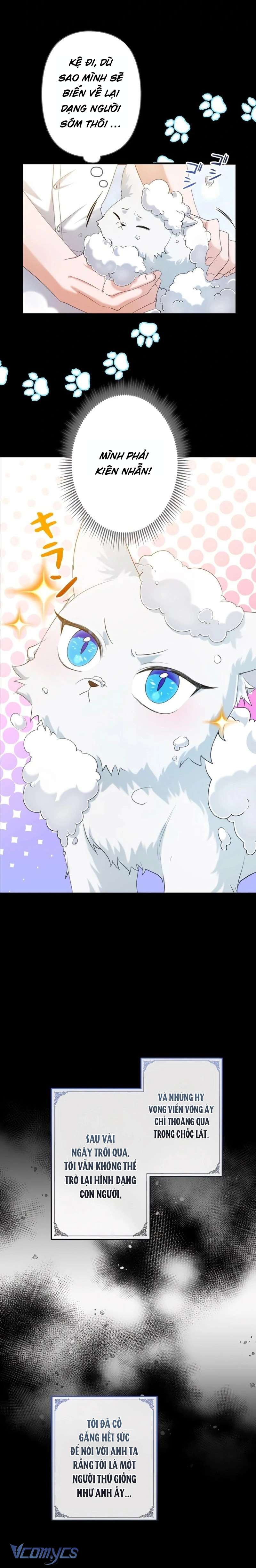 Hôn Phu Được Định Sẵn Lại Chính Là Kẻ Bắc Cóc Chap 7 - Next Chap 8