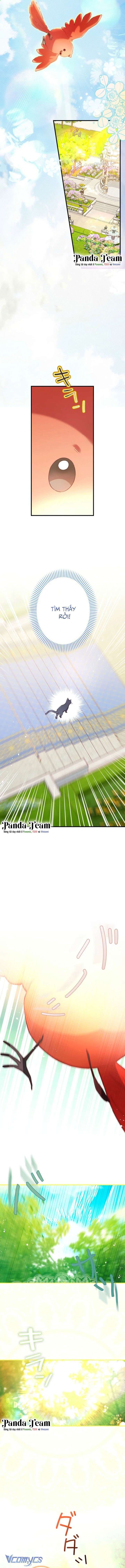 Kiếp Này Em Sẽ Không Sống Dưới Cái Bóng Của Người Chị Song Sinh Chap 12 - Trang 3