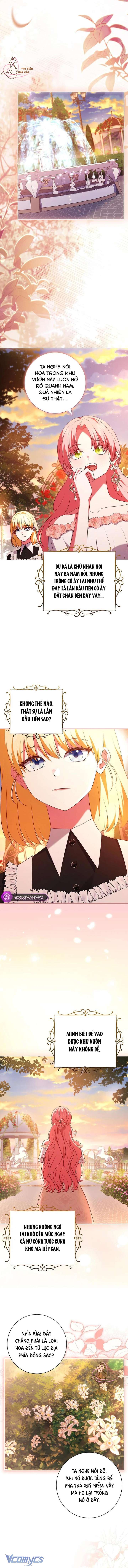 Hãy Để Luật Sư Chuyên Nghiệp Lo Chuyện Ly Hôn Chap 8 - Trang 2