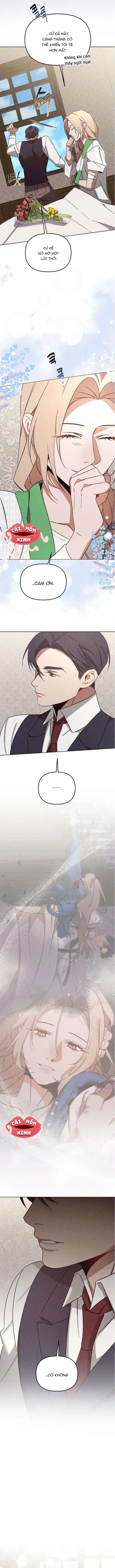 Nơi Đóa Hồng Vàng Úa Tàn Chap 17 - Trang 2