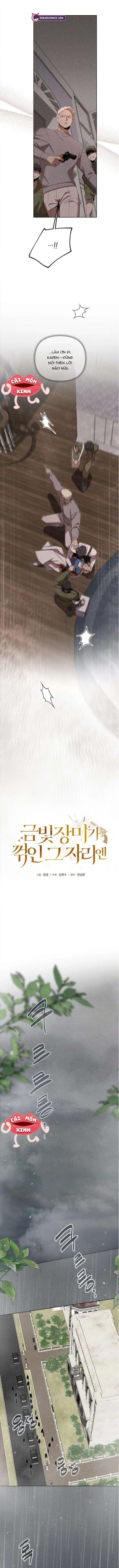 Nơi Đóa Hồng Vàng Úa Tàn Chap 16 - Trang 2