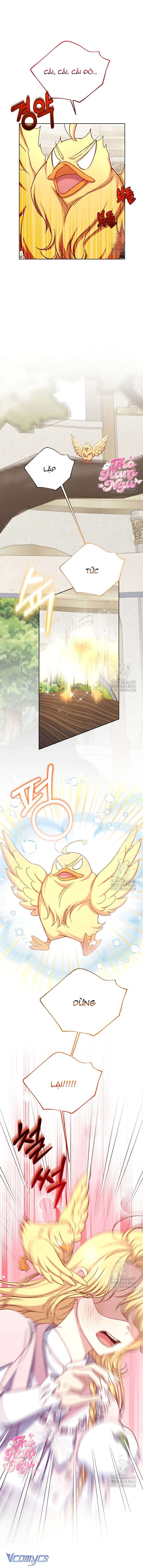 Nàng Vịt Chờ Ngày Hủy Hôn Chap 23 - Trang 2