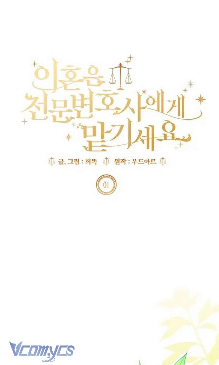 Hãy Để Luật Sư Chuyên Nghiệp Lo Chuyện Ly Hôn Chap 1 - Trang 2