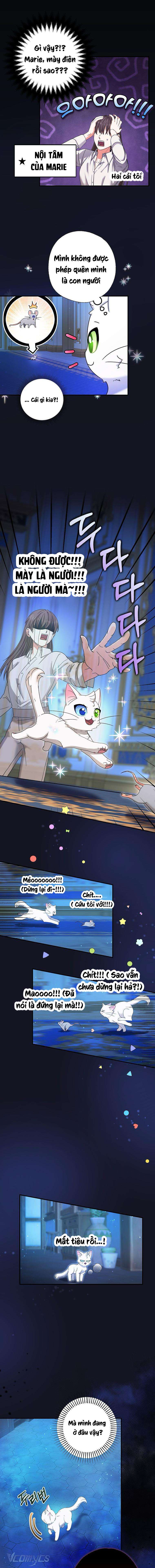 Trở Thành Miêu Nữ Của Hoàng Đế Chapter 5 - Next Chapter 6