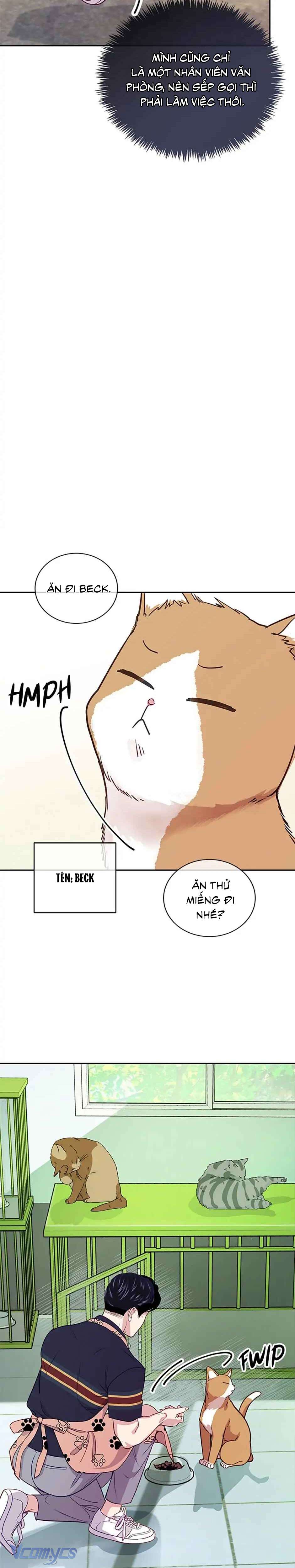 Lời Tỏ Tình Đáng Ngờ Chap 19 - Trang 2