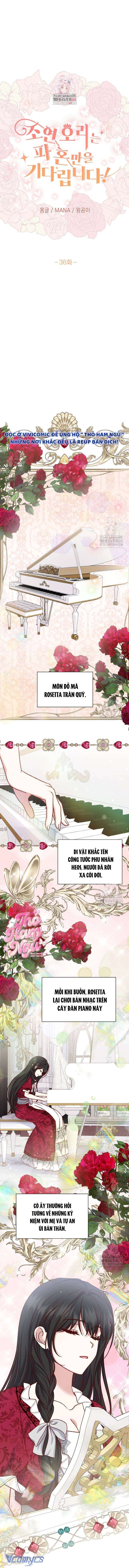 Nàng Vịt Chờ Ngày Hủy Hôn Chap 36 - Next Chap 37