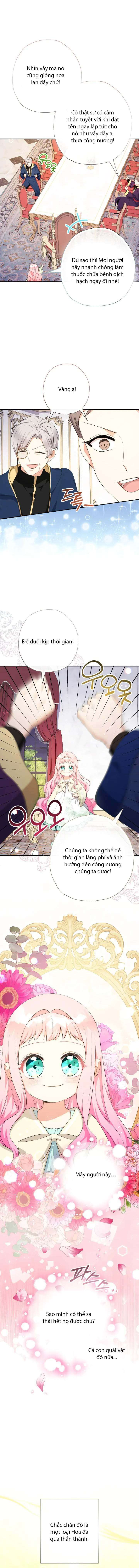 [PNT] Tiểu Thư Tích Tiền Đi Bụi Chap 81 - Trang 2