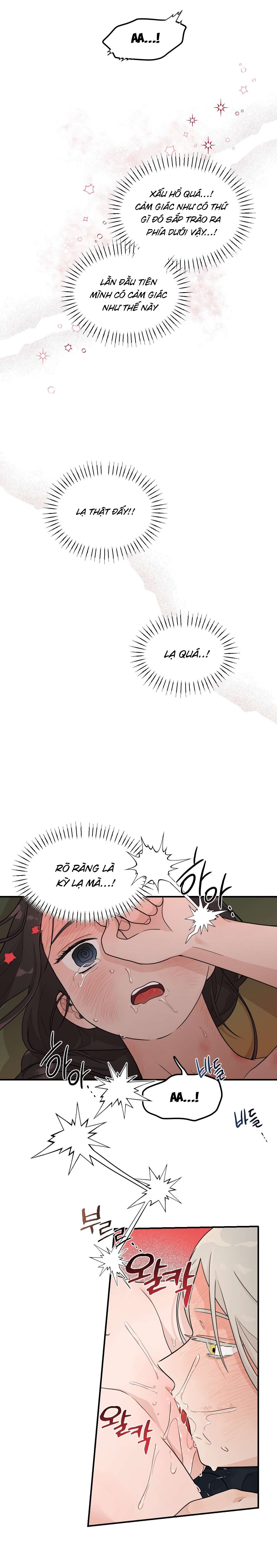 [ 18+ KHÔNG CHE ] Bibisea Chap 12 - Trang 2