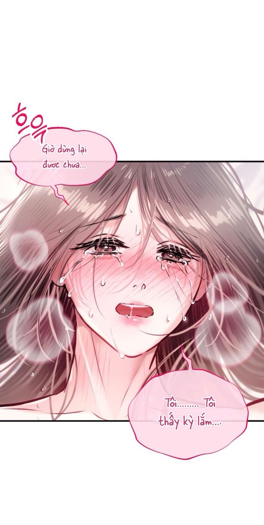 Sở Thích Bị Cai Trị Chap 13 - Trang 2