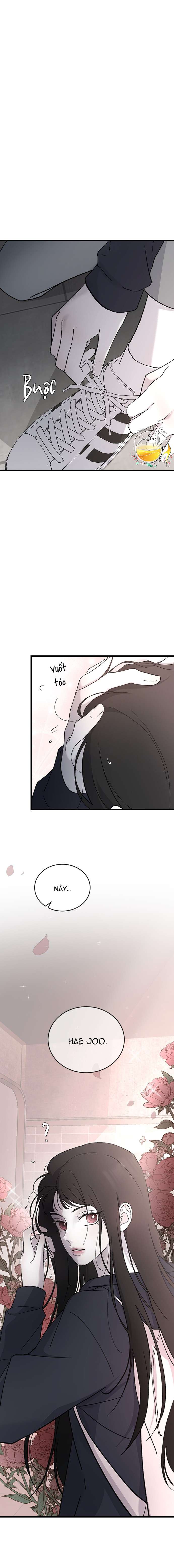 Ba Anh Trai Cực Phẩm Của Tôi Chap 91 - Next 