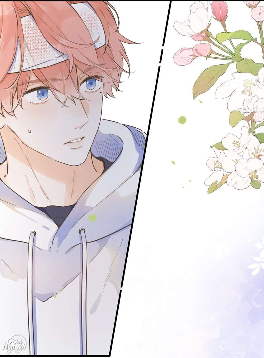 Ánh Sao Phiêu Linh Trong Nước Chap 76 - Trang 4