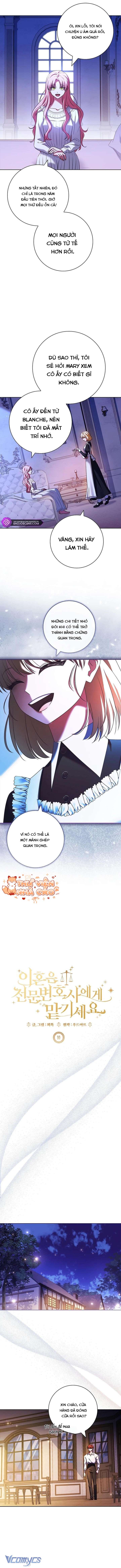 Hãy Để Luật Sư Chuyên Nghiệp Lo Chuyện Ly Hôn Chap 10 - Trang 2