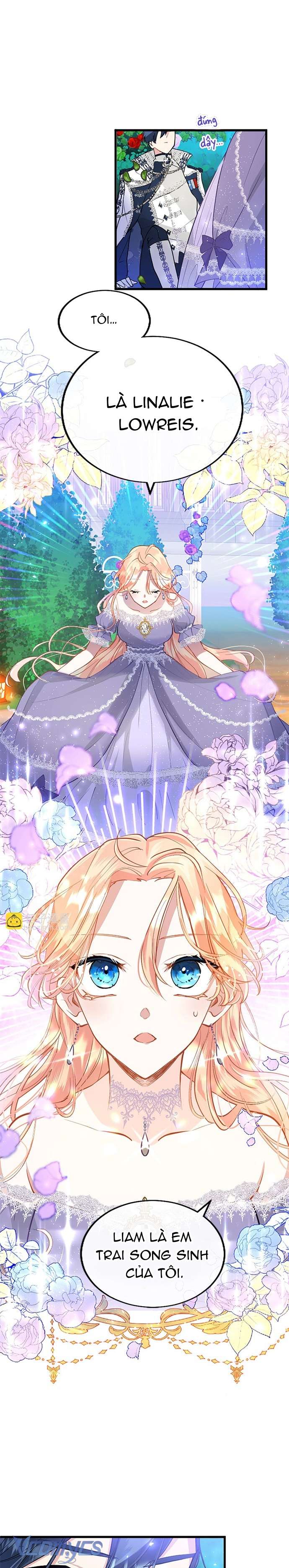 Đại Tiểu Thư Sao Phải Giả Nam Chapter 19 - Next Chapter 20