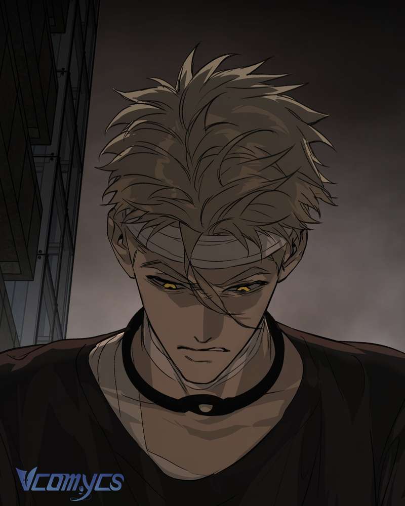 Ác Chi Hoàn Chap 71 - Trang 2