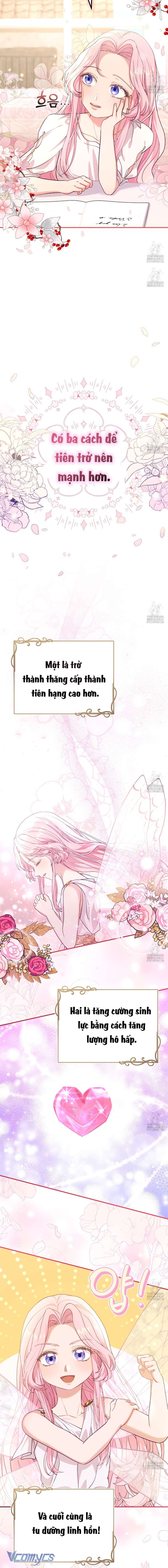 Nàng Tiên, Hãy Ký Hợp Đồng Nào Chapter 23 - Trang 4