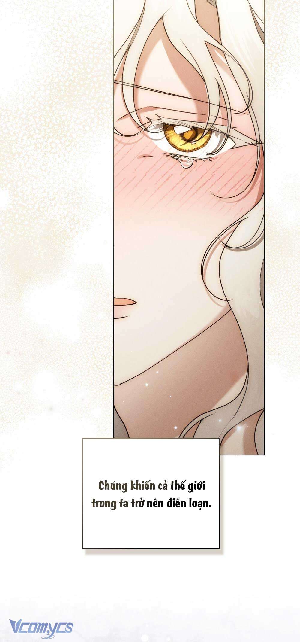 Hôn Nhân Khế Ước Chap 56 - Trang 3