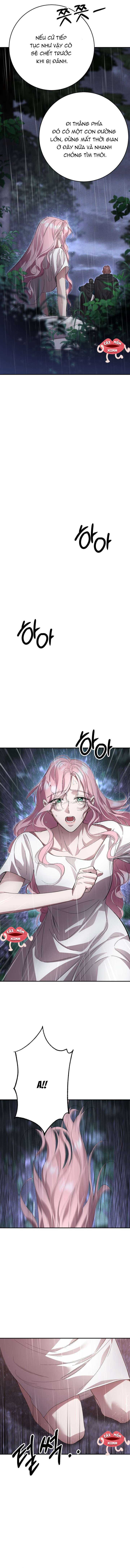 Cuộc Hôn Nhân Bị Bắt Cóc Xuyên Thời Gian Của Hoàng Hậu Chap 31 - Next Chap 32