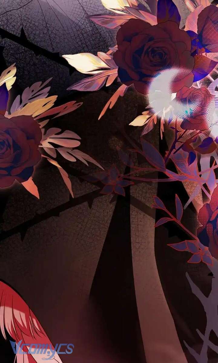 Hãy Để Luật Sư Chuyên Nghiệp Lo Chuyện Ly Hôn Chap 1 - Trang 2