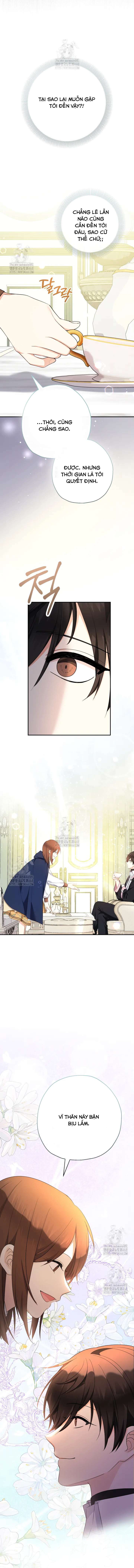 [PNT] Tiểu Thư Tích Tiền Đi Bụi Chap 95 - Trang 2