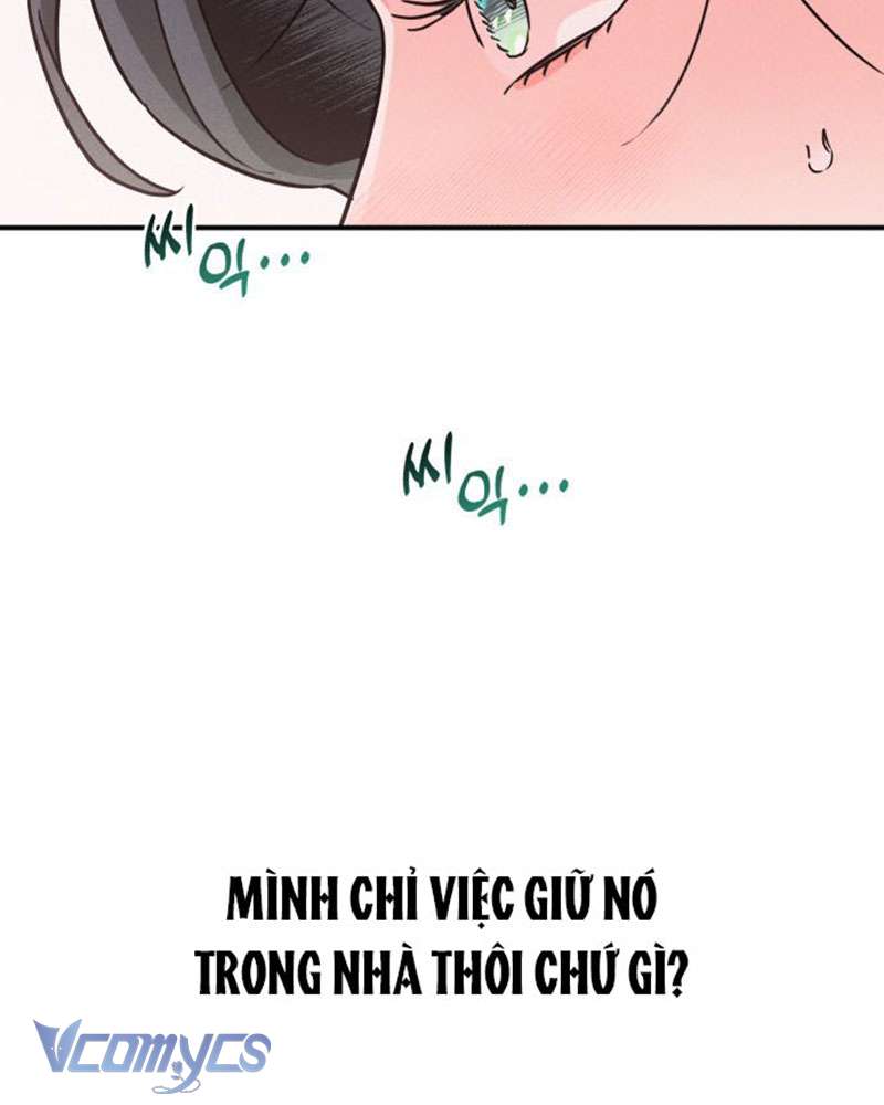 Tối Nay Tôi Là Người Được Cô Ấy Chọn Chap 1 - Trang 3