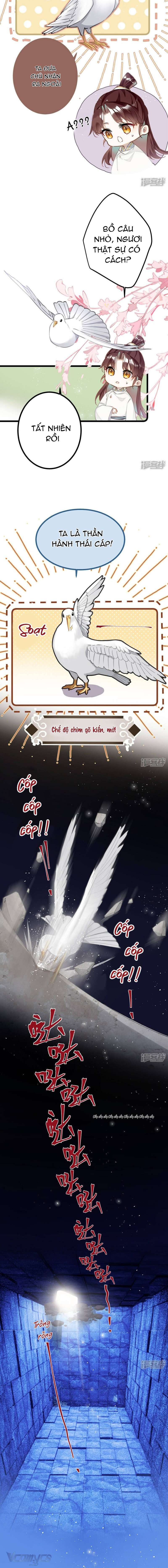 Công Chúa Pháo Hôi Muốn Tùy Tiện Đến Cuối Cùng Chap 74 - Trang 2