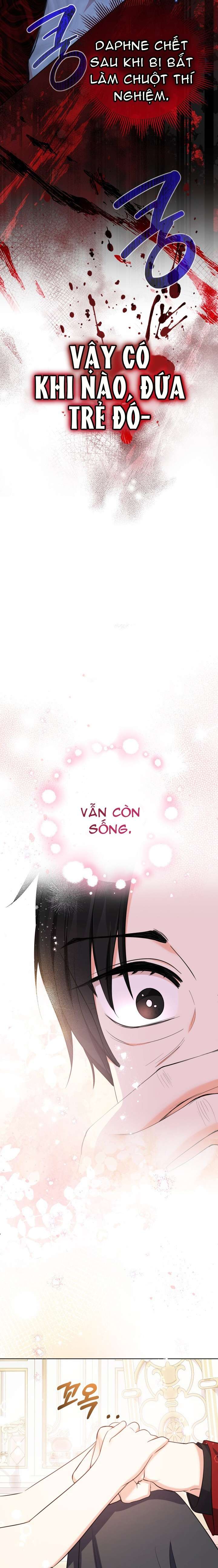 [PNT] Tiểu Thư Tích Tiền Đi Bụi Chap 53 - Trang 2